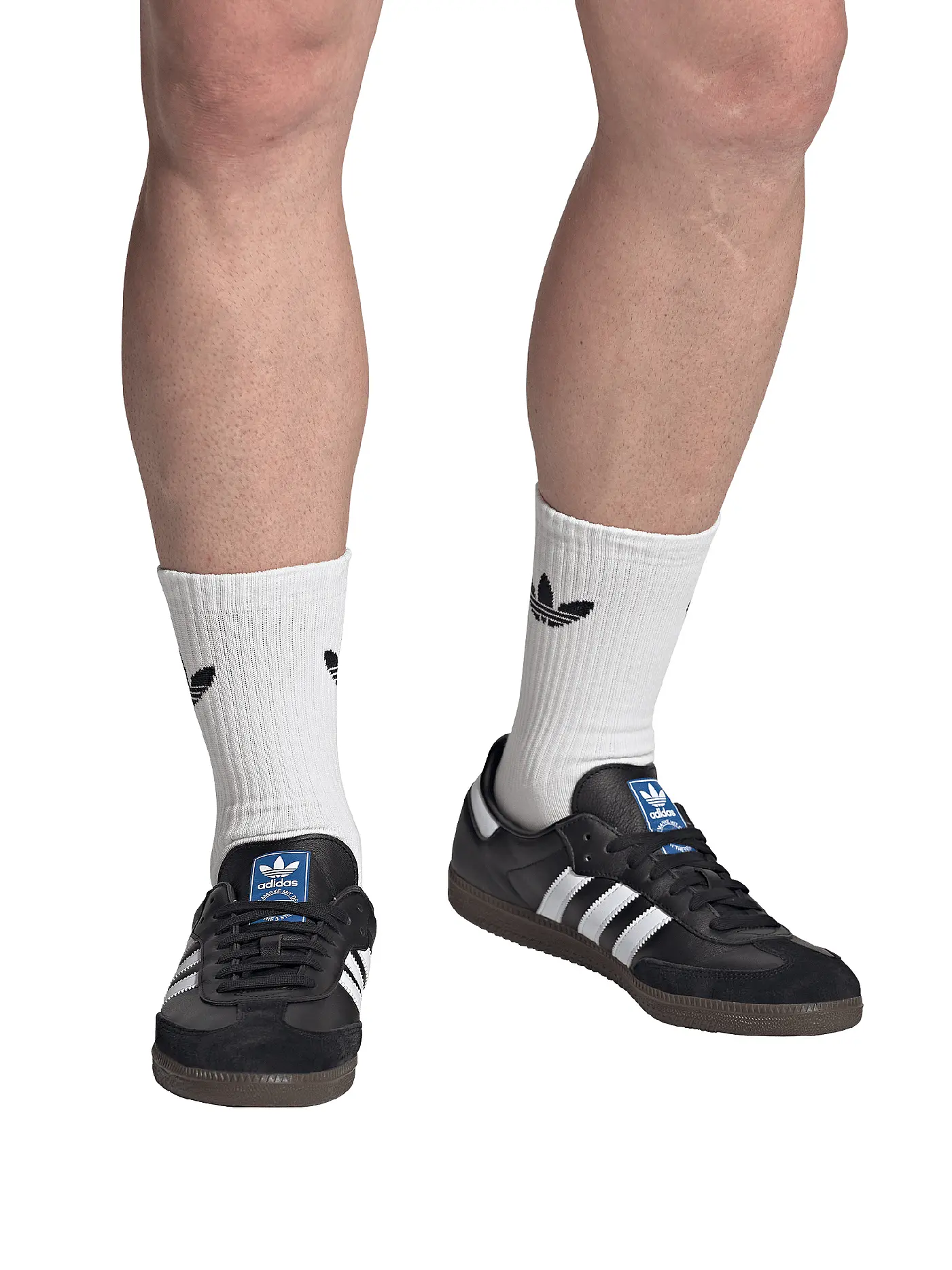 ADIDAS ORIGINALS | Sneaker SAMBA OG | schwarz